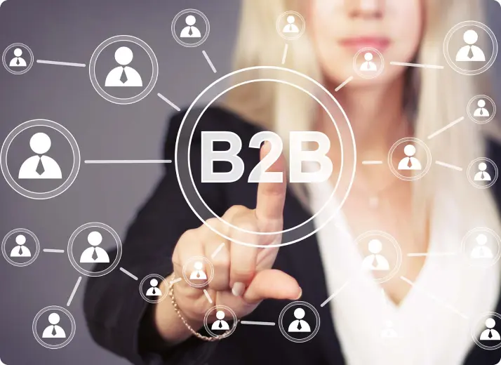 B2C и B2B услуги, учет по ГОЗ